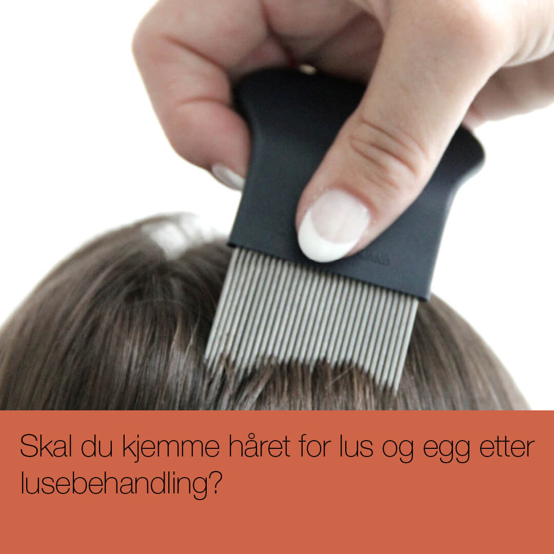 Balsam til Lus - Kjemmebalsam til bruk etter lusekur