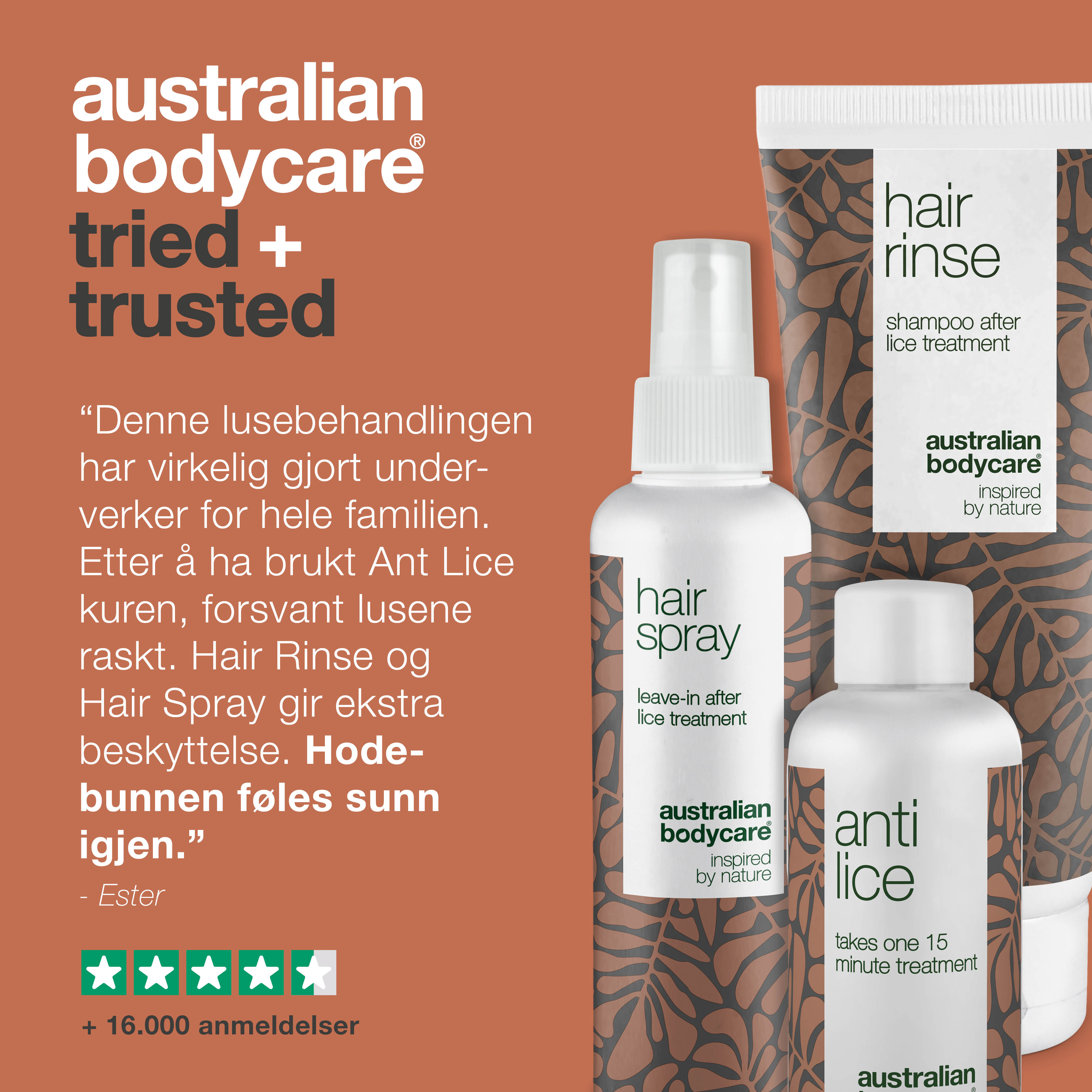 Lusebehandling med Tea Tree Oil — 3 produkter til hurtig bekæmpelse af lus