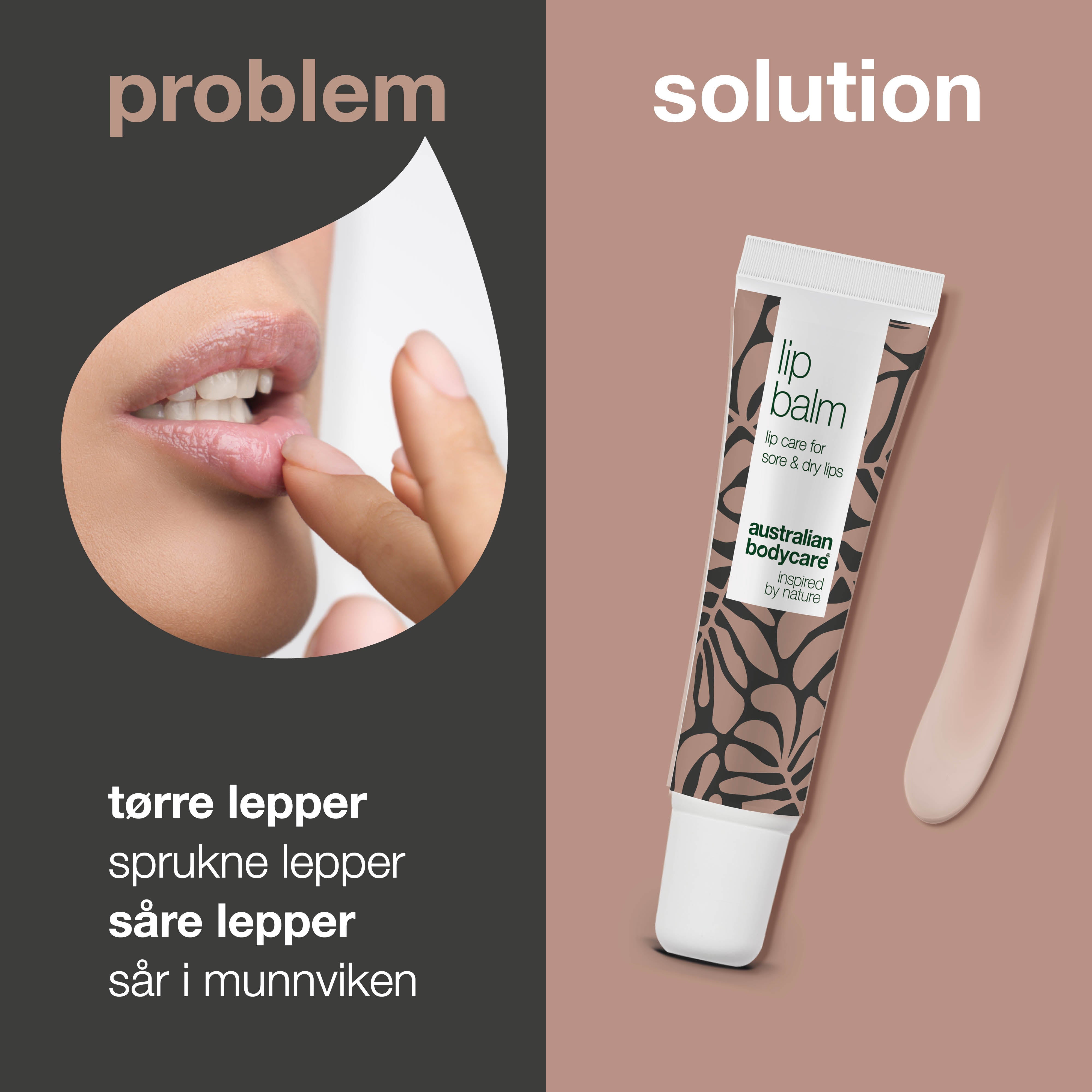 Leppepomade til pleie av tørre lepper — Leppepomade med Tea Tree Oil til tørre lepper og pleie ved forkjølelsessår