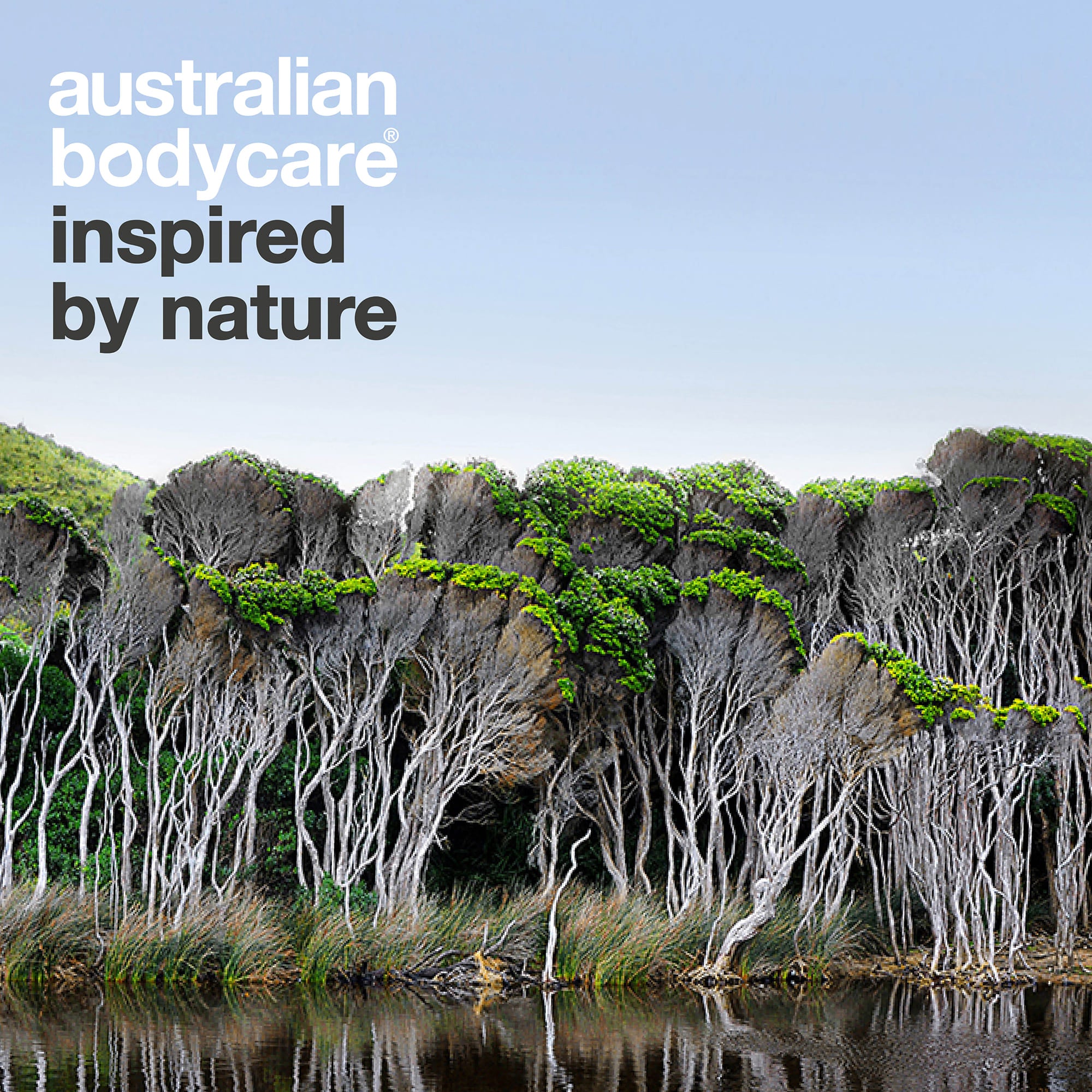 Australian Bodycare – inspired by nature: australsk landskap med tea trees