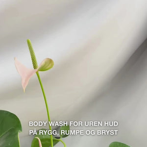 Salisylsyre Body Wash renser porene og reduserer nupper. Inneholder salisylsyre, niacinamid, sink PCA og glyserin.