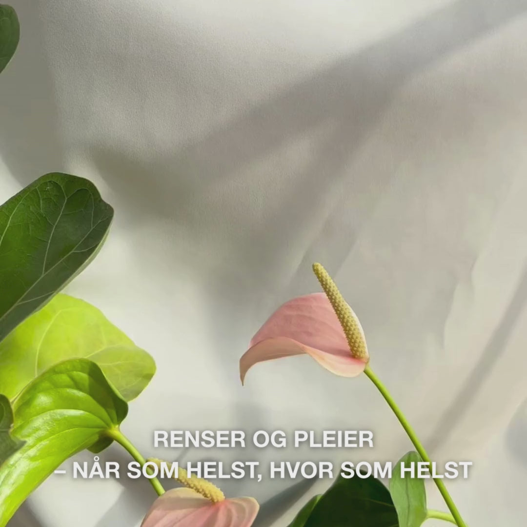 Nærbilde av en hånd som folder ut en myk, fuktet ansiktsserviett med Tea Tree Oil og stryker den forsiktig over huden for å fjerne sminke, olje og urenheter—med fokus på den myke teksturen og den oppfriskende, beroligende effekten for sensitiv til fet hud.