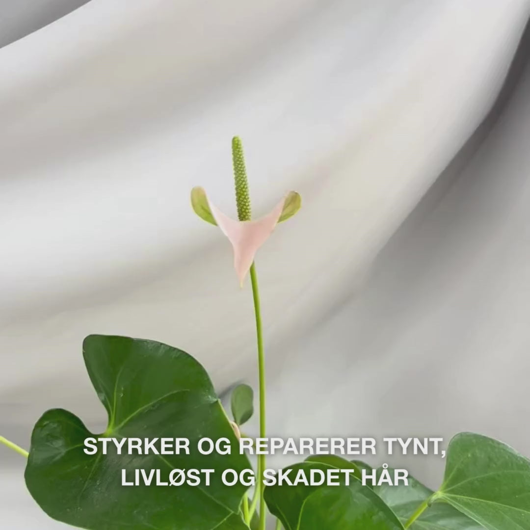 Vitamin B12 Hårsjampo pleier tørt og slitt hår med bond-effekt som styrker fra innsiden. Inneholder Vitamin B12, Elaya Renova™ og Glyserin.