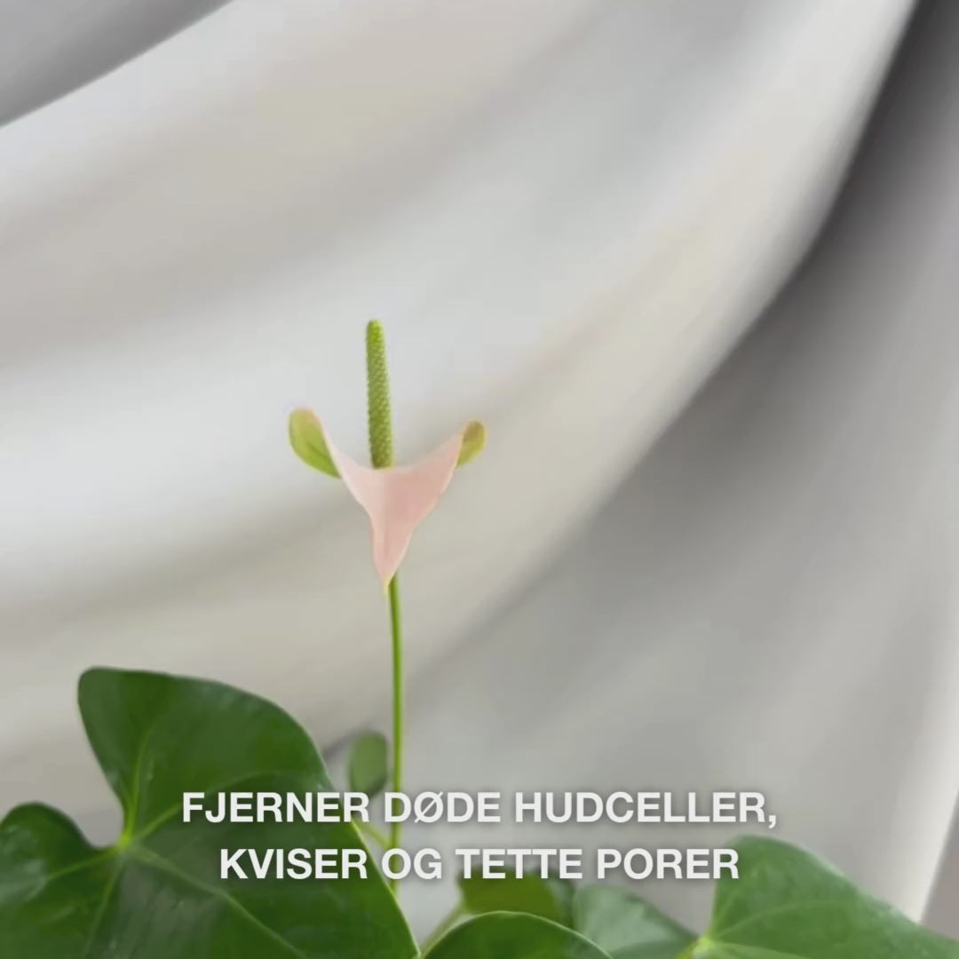 Body Scrub med salisylsyre fjerner døde hudceller og renser porer. Inneholder salisylsyre, glykolsyre, aprikoskjernepulver og allantoin.