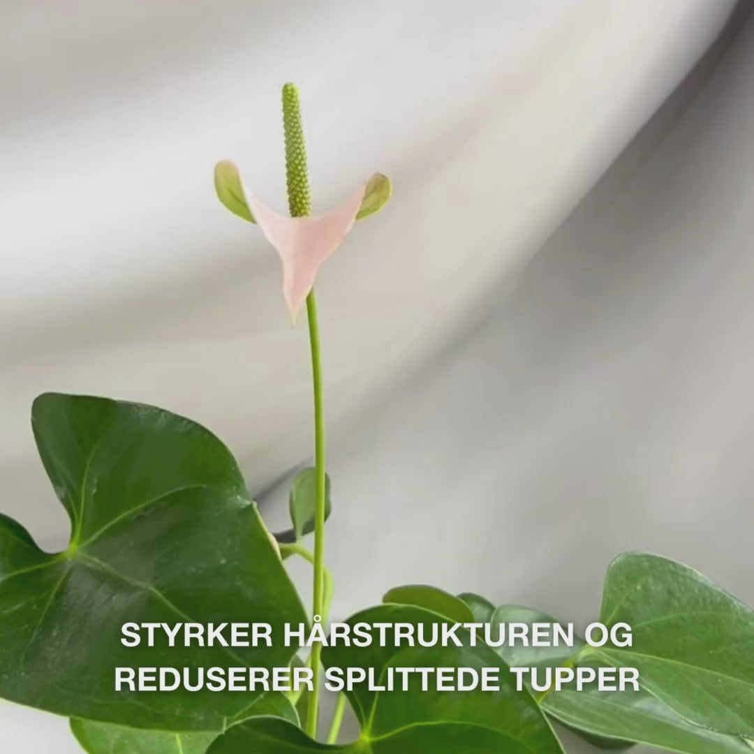 Vitamin B12 Hair Conditioner for skadet hår. Bond-effekt reparerer og gir glans. Med Vitamin B12, Panthenol og Elaya Renova™.