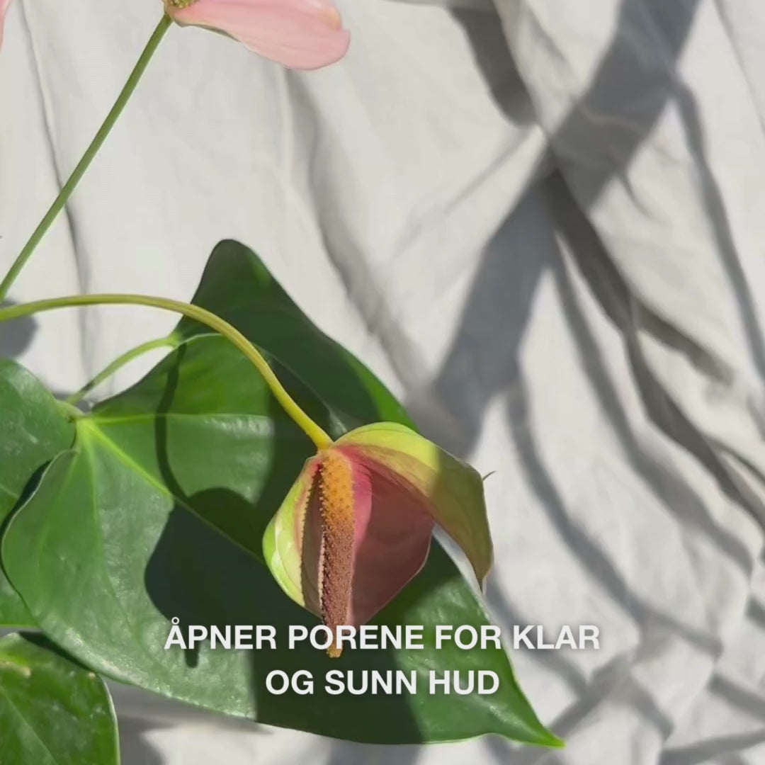 Nærbilde av en hånd som fører Face Scrubber med myke silikonpigger i sirkulære bevegelser over lett fuktig ansiktshud: den fleksible børsten eksfolierer mildt, renser dypt, fjerner urenheter og døde hudceller og avdekker en jevn tekstur og frisk glød.