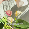 Produktvideo: Ansiktsrens med Tea Tree Oil 
