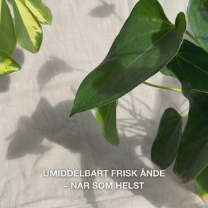 Nærbilde av en hånd som rister den kompakte munnspray-flasken lett og sprayer en fin, fuktighetsgivende tåke på tungen og tannkjøttet—den lette, kjølige tåken frisker umiddelbart opp pusten, fukter tørr munnhule, beroliger irritasjoner og gir en mintfrisk følelse.