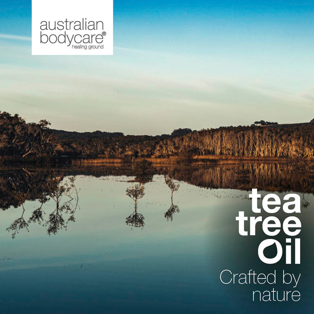 3 x 10 ml Lemon Myrtle infused Tea Tree Oil - 3-pakning med 100 % konsentrert Lemon Myrtle infused Tea Tree Oil fra Australia