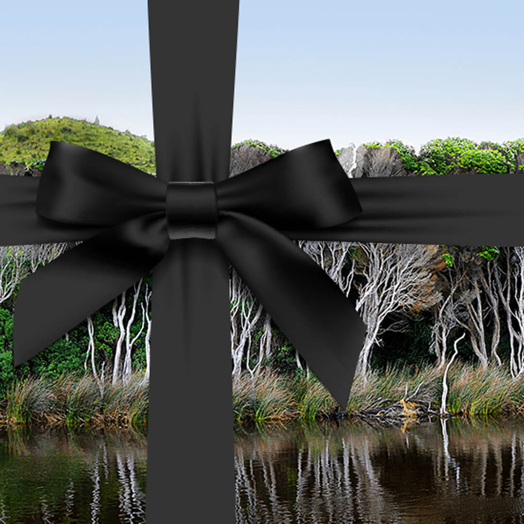 Gavekort til Australian Bodycare webshop