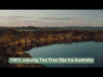 Tea Tree Oil / Tea tree olje - Bekjemp urenhetene med 100% naturlig Tea Tree Olje fra Australia